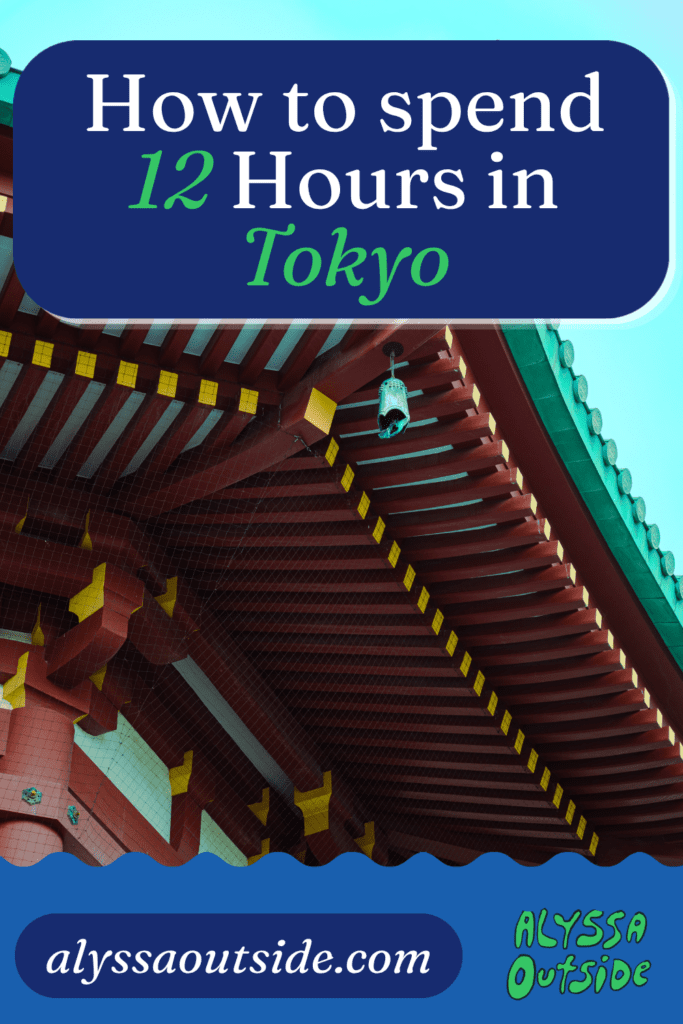 12 Hours in Tokyo