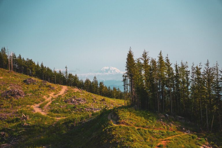 7 Best Hikes Closest to Seattle during FIFA World Cup