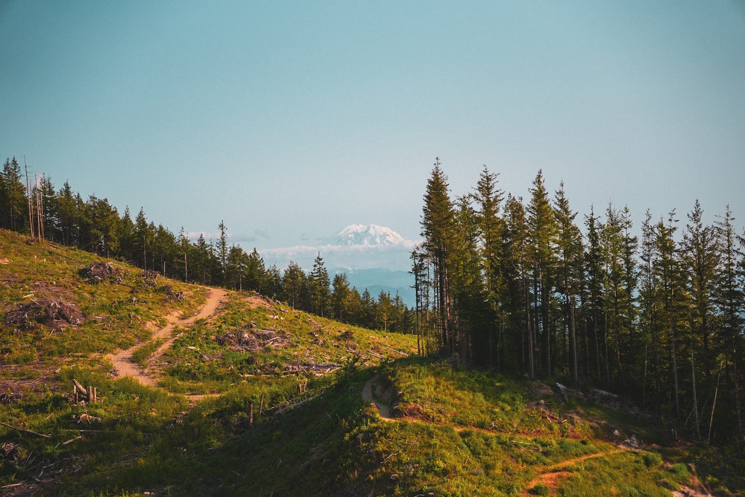 7 Best Hikes Closest to Seattle during FIFA World Cup